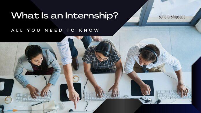 What Is an Internship? All You Need to Know