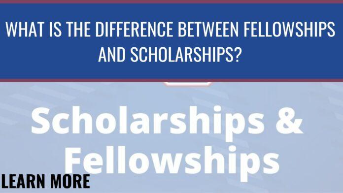 What is the Difference Between Fellowships and Scholarships